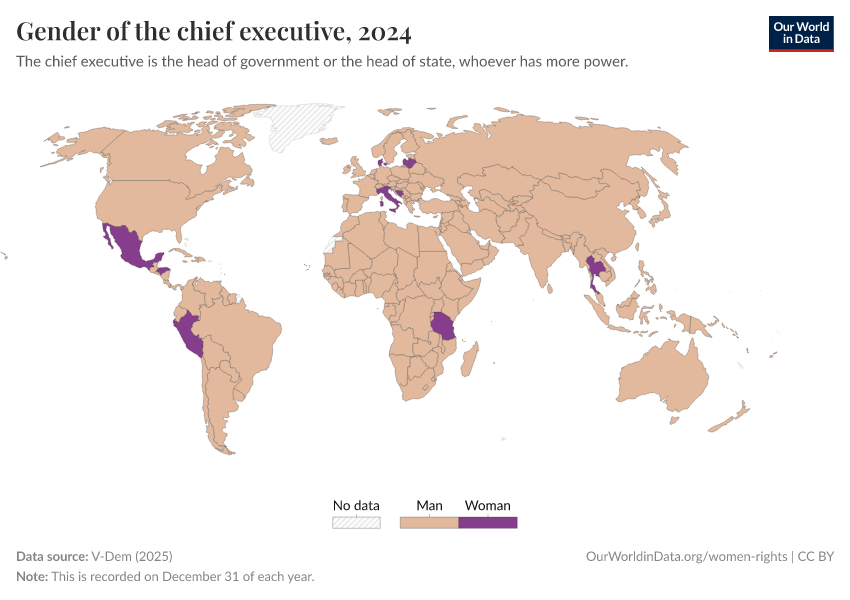 A thumbnail of the "Gender of the chief executive" chart