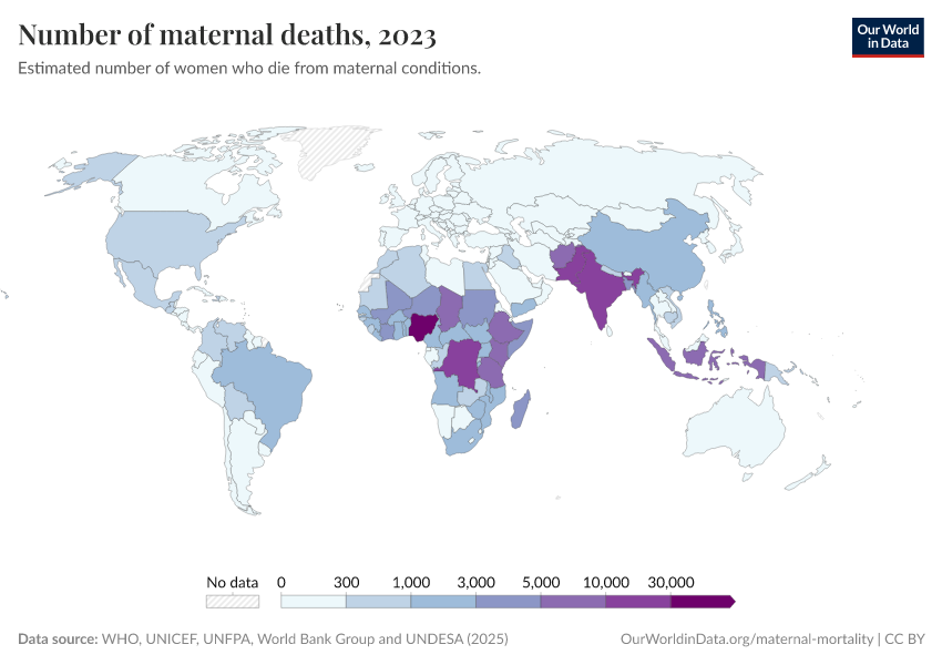 A thumbnail of the "Number of maternal deaths" chart