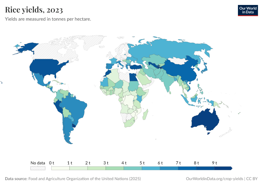 A thumbnail of the "Rice yields" chart